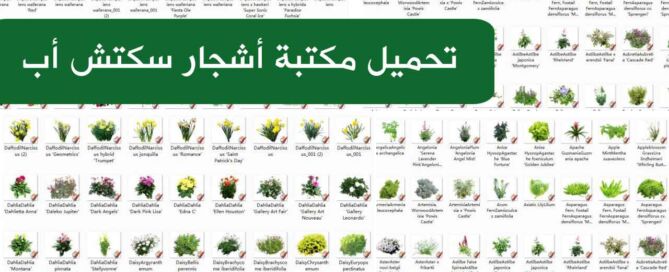 تحميل مكتبة أشجار سكتش أب Download SketchUp Tree Component Library